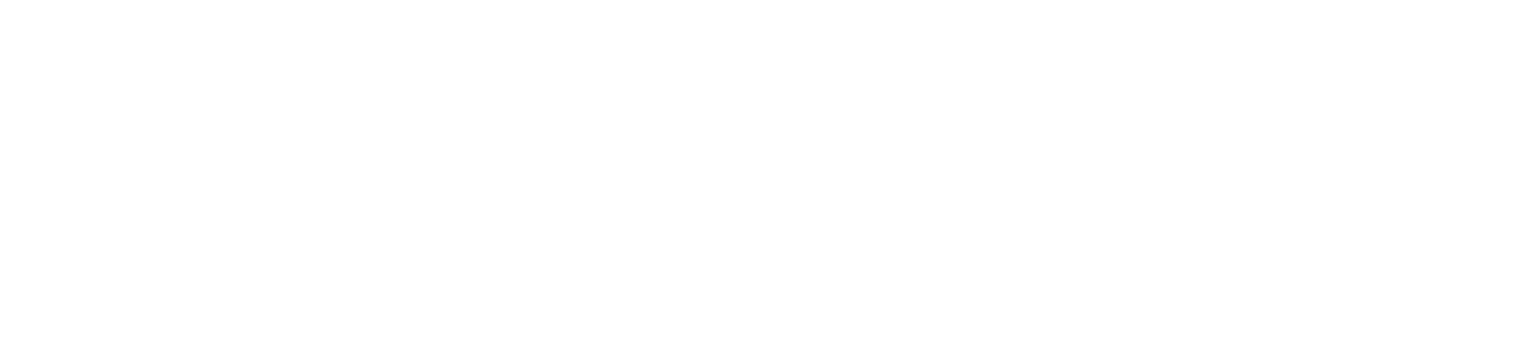 Footer Banner Logo