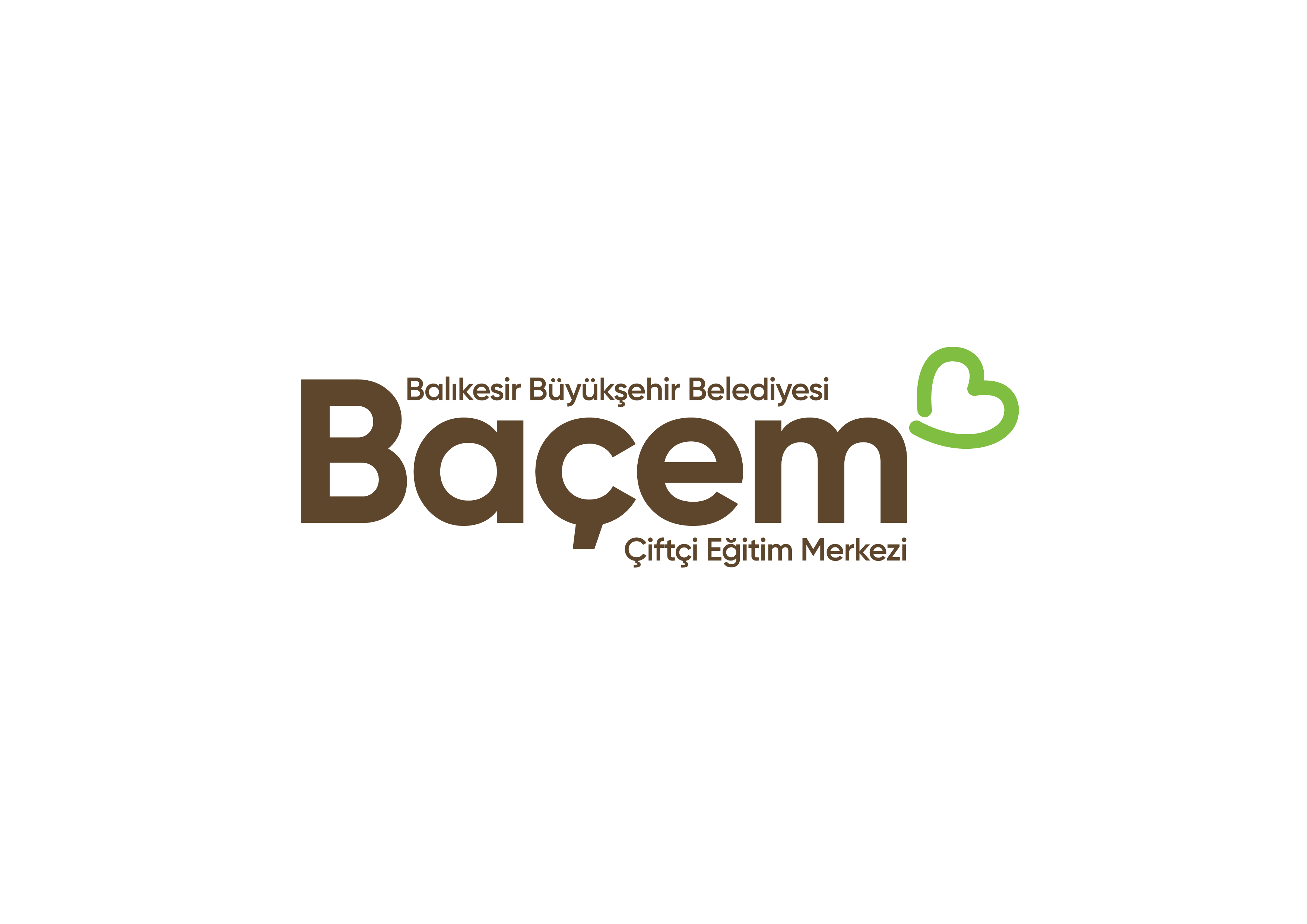 BAÇEM NEDİR? NELER YAPAR?