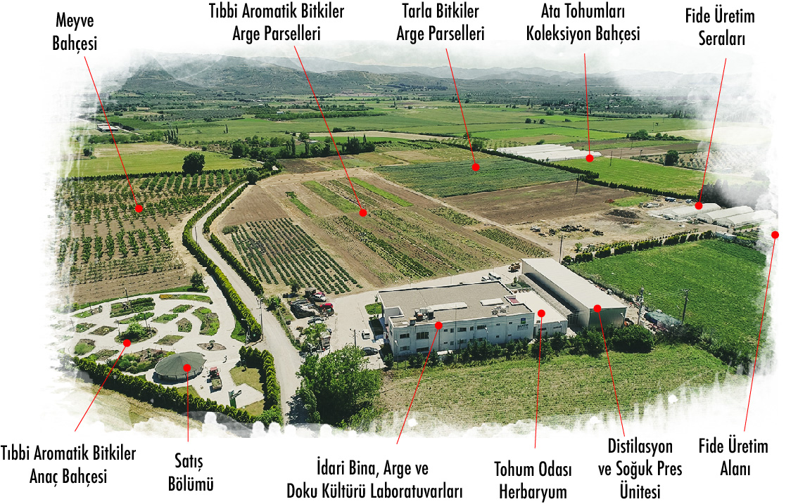 Yerleşim