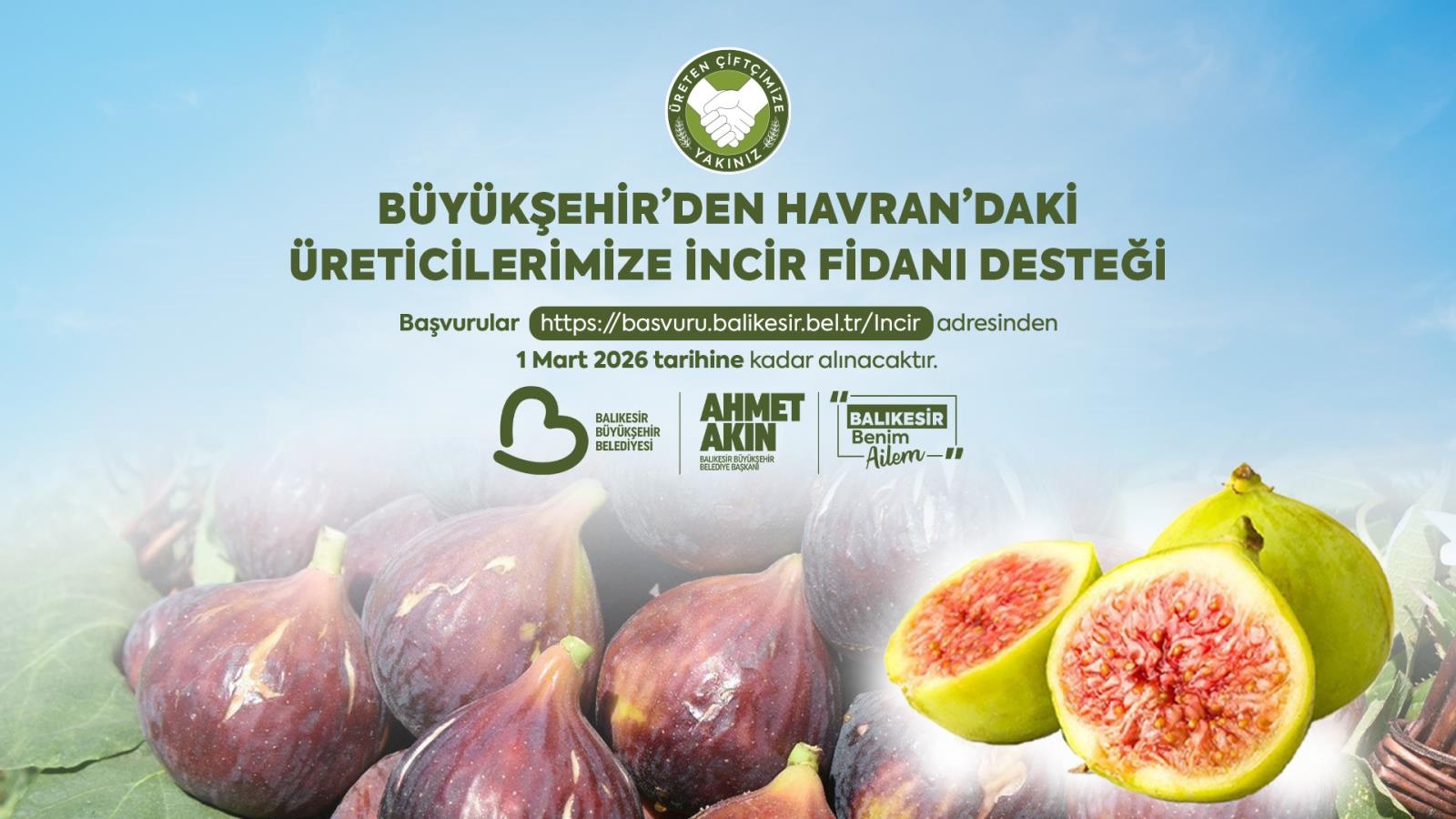 Havran’da %100 Hibeli İncir Fidanı Başvuruları Başladı