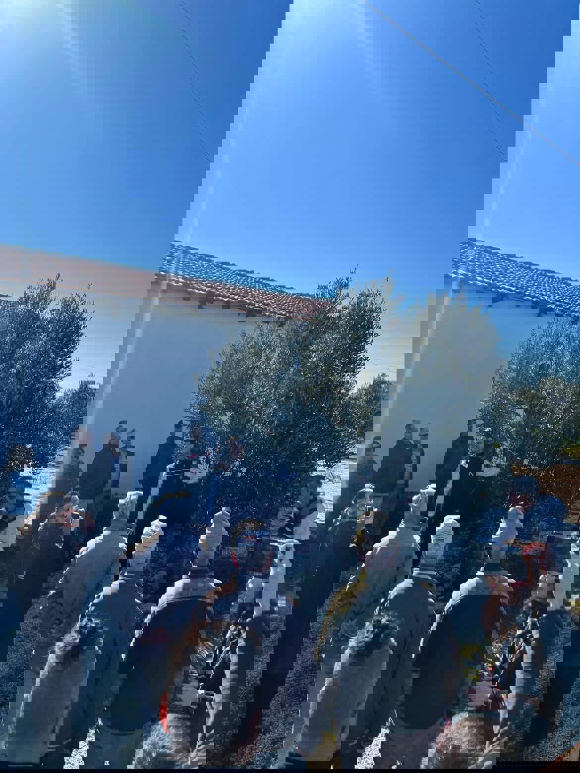 Eceabat'ta Zeytin Üreticilerine Budama Eğitimi