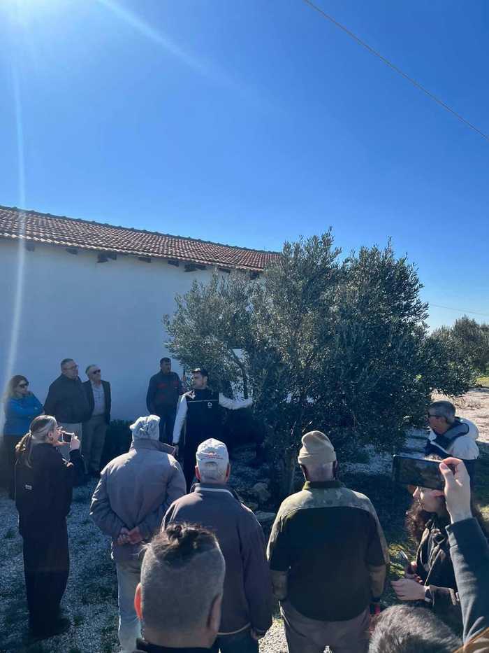 Eceabat'ta Zeytin Üreticilerine Budama Eğitimi