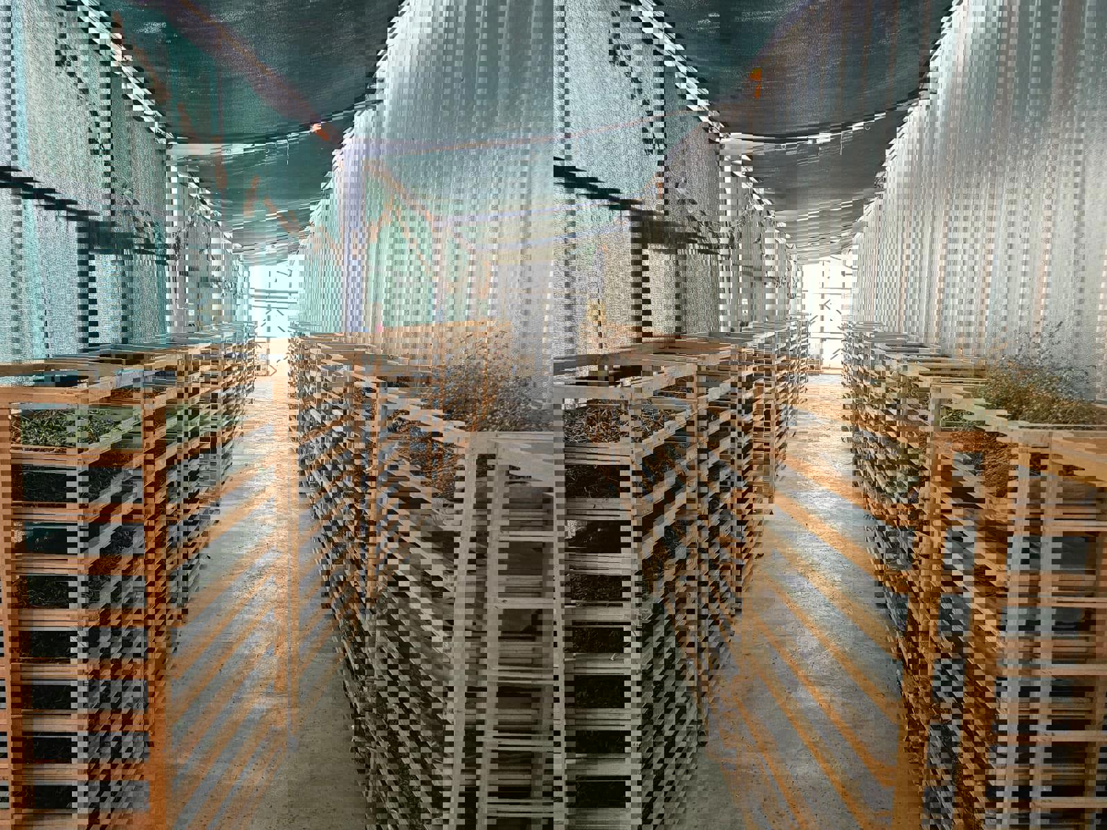 Kurutma Alanı Tesisi